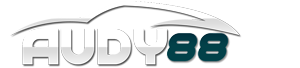 AUDY88 Logo